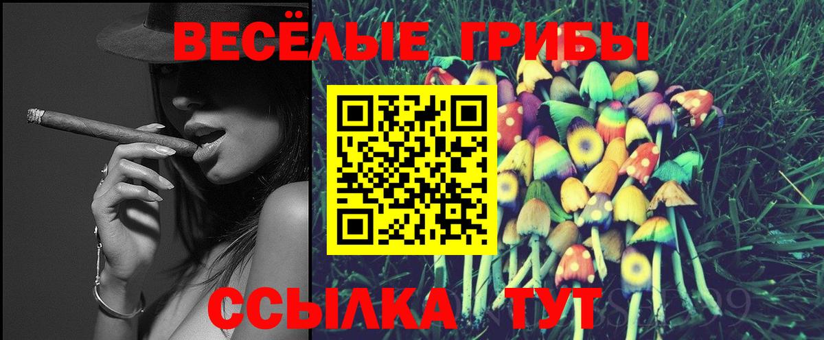Галлюциногенные грибы мухоморы  Вход с VPN  купить наркоту  Псилоцибиновые грибы мухоморы  Туймазы 
