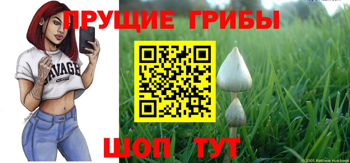 Псилоцибиновые грибы ЛСД Туймазы