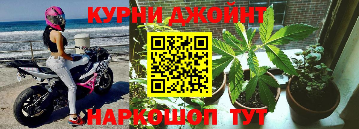 Конопля марихуана  Бошки марихуана OG Kush  Вход с VPN  Туймазы  Бошки Шишки марихуана 